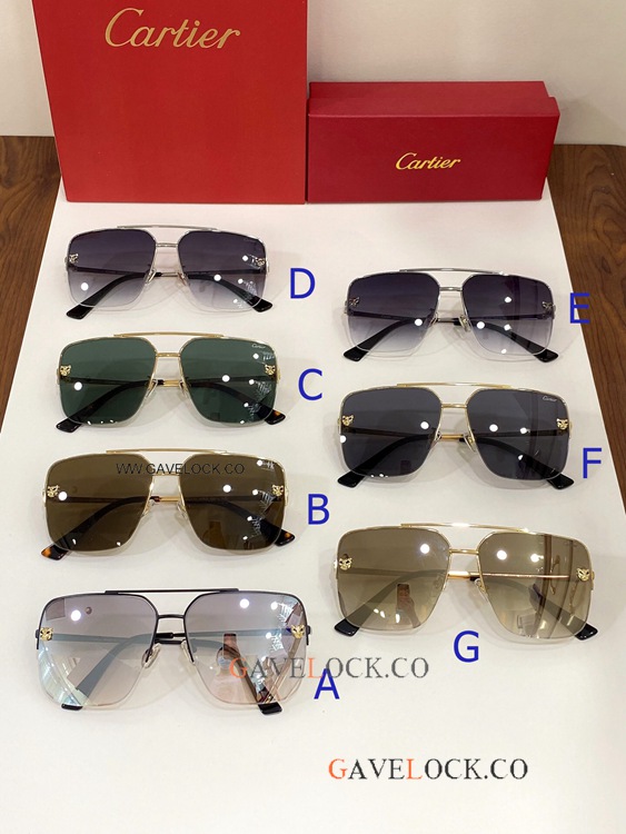 Panthere Cartier ct0244s Sunglasses Copy Fading Lens